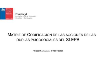 Matriz de Codificación de las acciones de las duplas psicosociales del SLEPB