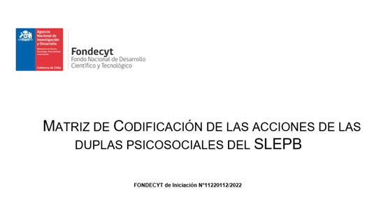 Matriz de Codificación de las acciones de las duplas psicosociales del SLEPB